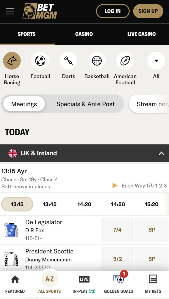 BetMGM UK Horse Racing