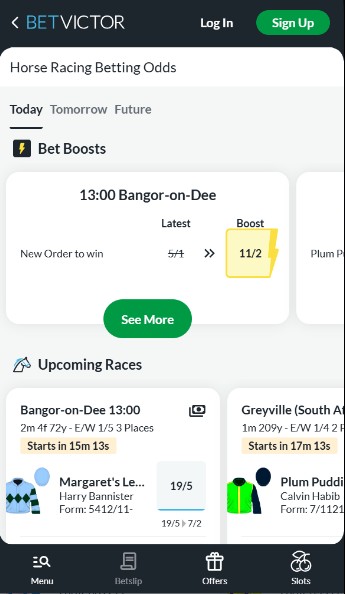 Betvictor UK Horse Racing