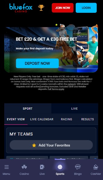Bluefox UK Sportsbetting Homepage