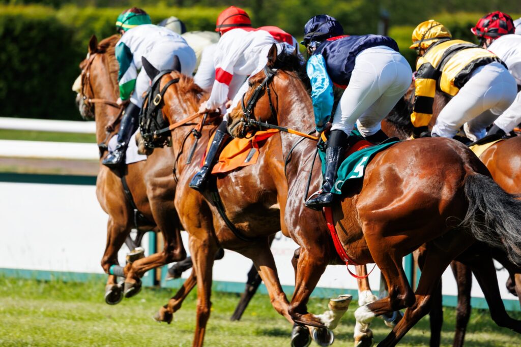 Horses racing at the Newmarket July Festival