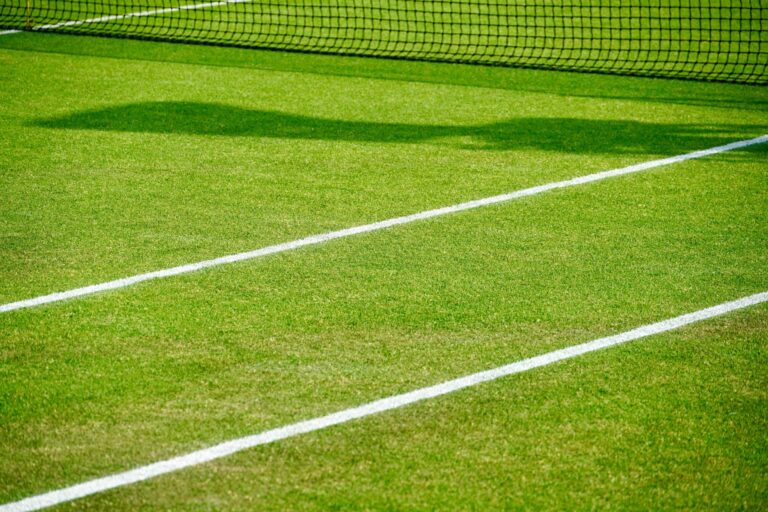 An image of a green grass tennis court