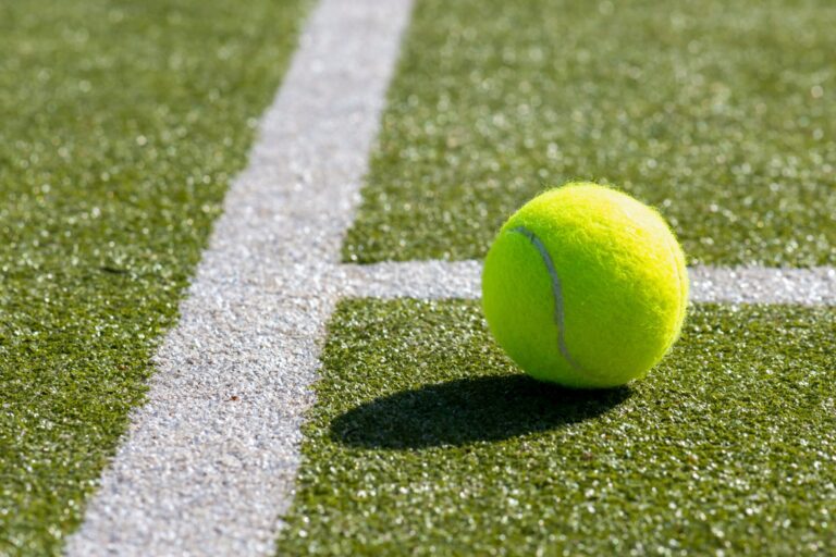 Jannik Sinner and Novak Djokovic meet in the Wimbledon 2026 semi-finals, with a place in the final against either Alexander Zverev or Arthur Fery at stake