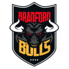 Bradford Bulls Shell Club badge bull red and yellow