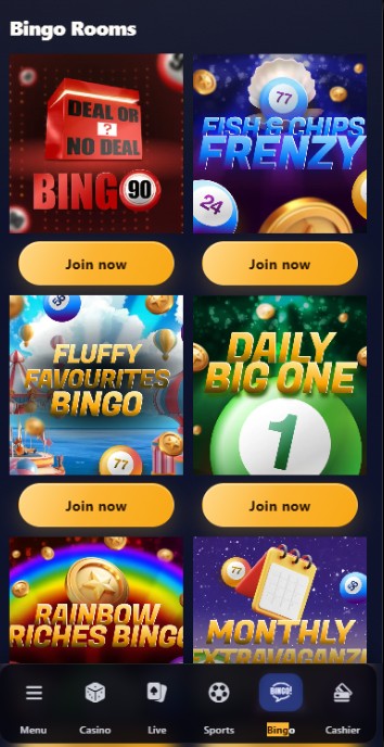 PlayUK Casino Bingo