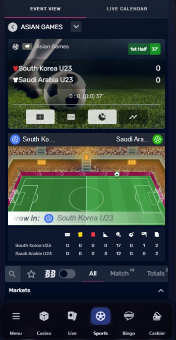 PlayUK Sports Live betting mobile