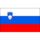 Slovenia flag