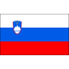Slovenia flag